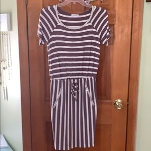 Calvin Klein dress. Size 2 Petite
